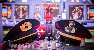 Picture for category Flight Simulator