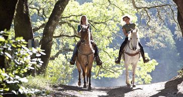 Picture for category Horse Riding