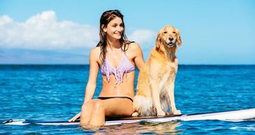 Picture for category Paddle Board and Windsurf