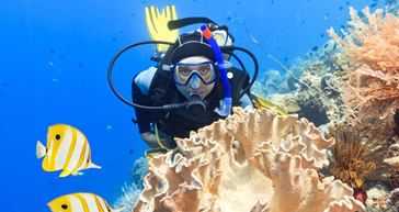 Picture for category Scuba Diving and Snorkelling