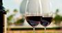 Picture of The Premium Wine Experience - Barossa Valley