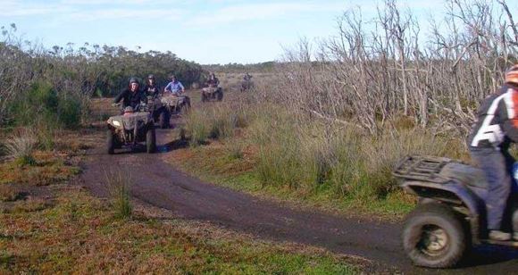 Picture of Quad Bike Tour  (2.5 hours) Gippsland