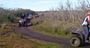 Picture of Quad Bike Tour (4 hours) Gippsland
