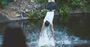 Picture of Cairns Tower Bungy Jump