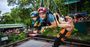 Picture of Giant Swing Cairns