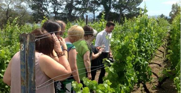 Picture of Half Day Food and Wine Tour – Hobart