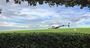 Picture of Fly & Dine Helicopter Flight to the Hunter Valley for 2
