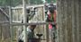 Picture of The Ultimate Paintball Experience - 10 People & 1000 Paintballs!