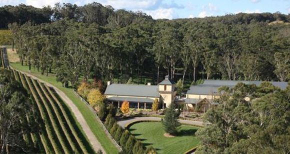 Picture of Centennial Vineyards Restaurant