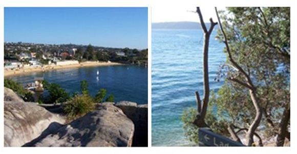 Picture of Watsons Bay Walking Tour