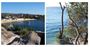 Picture of Watsons Bay Walking Tour