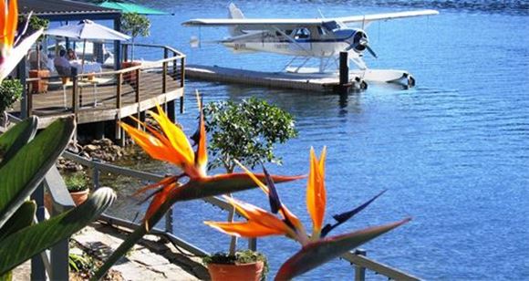 Picture of Cottage Point Restaurant - Sydney