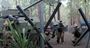 Picture of Full Day Paintball in Perth
