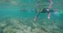 Picture of Manly Snorkelling Tour for Two