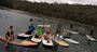 Picture of Sydney Stand Up Paddle Boarding Safari - Adult