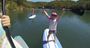 Picture of Sydney Stand Up Paddle Boarding Safari - Child