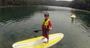 Picture of Sydney Stand Up Paddle Boarding Safari - Child