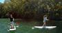 Picture of Sydney Stand Up Paddle Boarding Safari For Two