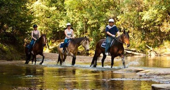 Picture of Horse Riding and Quad Biking Adventure - Glenworth Valley