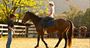 Picture of Paddle and Saddle Adventure - Glenworth Valley