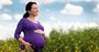 Picture of Pregnancy Massage Treatment - Sydney (90 Minutes)