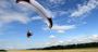 Picture of Tandem Paragliding North NSW