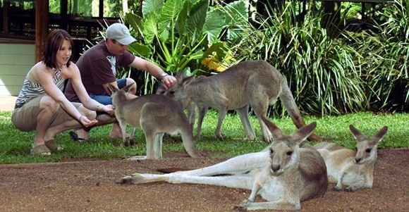 Picture of Sydney Five in One Attractions Pack (Adult)