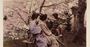 Picture of Six Step Energising Japan Ritual & Massage