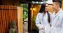 Picture of Six Step Energising Japan Ritual & Massage