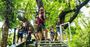 Picture of Jungle Surfing Canopy Tours Cairns