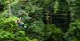 Picture of Jungle Surfing Canopy Tours Cairns