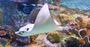 Picture of Melbourne Aquarium - General Admission (Adult)