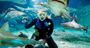 Picture of Shark Dive Xtreme – Non-Certified Diver (Melbourne Aquarium)