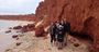 Picture of Cruise & 4WD Tour Package WA