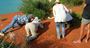 Picture of Cruise & 4WD Tour Package WA