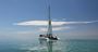Picture of Monkey Mia Wildlife Cruise - Origin of the Mermaid Myth WA