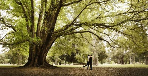 Picture of Panache Photography Portrait Session & Print Package 2 Adelaide