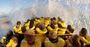 Picture of Family Fun Jet Boating Package - Gold Coast