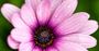 Picture of Digital SLR Photography Course - Melbourne