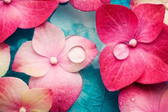 Picture of Express Manicure and Pedicure Pamper Package – Mobile Locations (1 Hour)