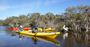 Picture of Canning Regional Park Kayak adventure (Child under 16)