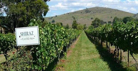 Picture of Yarra Valley Wine and Wildlife One Day Tour
