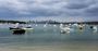 Picture of Watsons Bay Walking Tour
