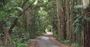 Picture of Mount Tamborine Motorcycle Meander