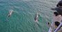 Picture of Cape Woolamai Cruise (Child) - Phillip Island