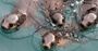 Picture of Seal Watching Cruise (Adult) - Phillip Island