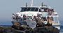 Picture of Seal Watching Cruise (Child) - Phillip Island
