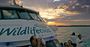 Picture of Twilight & Sunset Cruise (Child) - Phillip Island