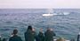 Picture of Winter Whale Cruise (Child) - Phillip Island