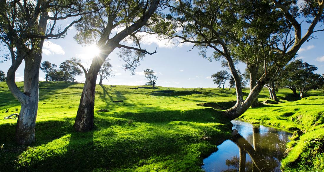 Adelaide Hills  